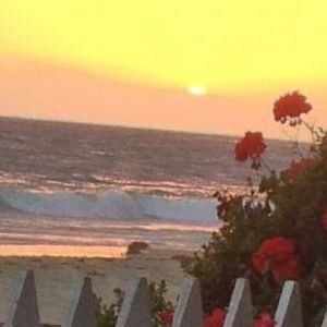 Meet your Posher, Bonnie